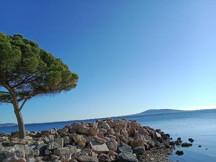 L'Astre Villa Loupian Esterno foto